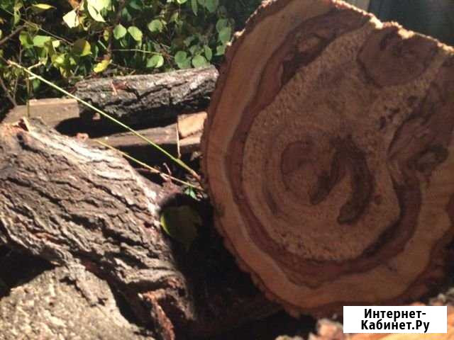 Спил деревьев Саратов - изображение 1