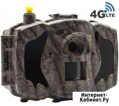 Фотоловушка Scoutguard MG984G-30M 4G в Томске Томск