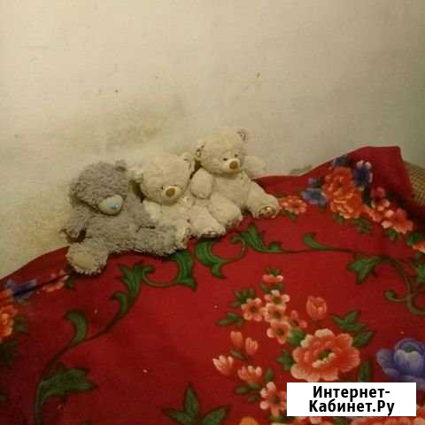 Мягкая игрушки медведь продается Грозный - изображение 1