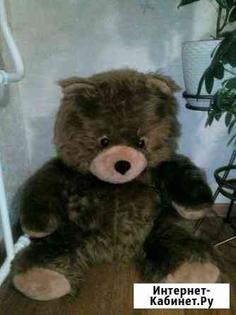 Медведь большой Пенза
