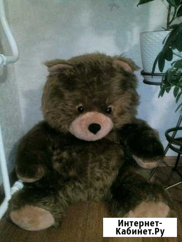 Медведь большой Пенза - изображение 1