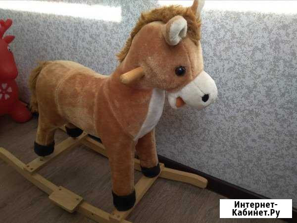 Продам коня Зональная Станция - изображение 1