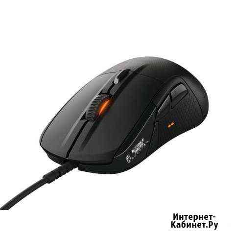 Мышь Ярославль