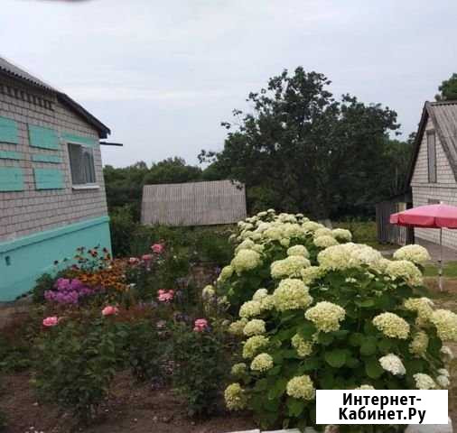 Дом 65 кв.м. на участке 40 сот. Кировский - изображение 1