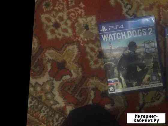 Watch Dogs 2 Белая Калитва
