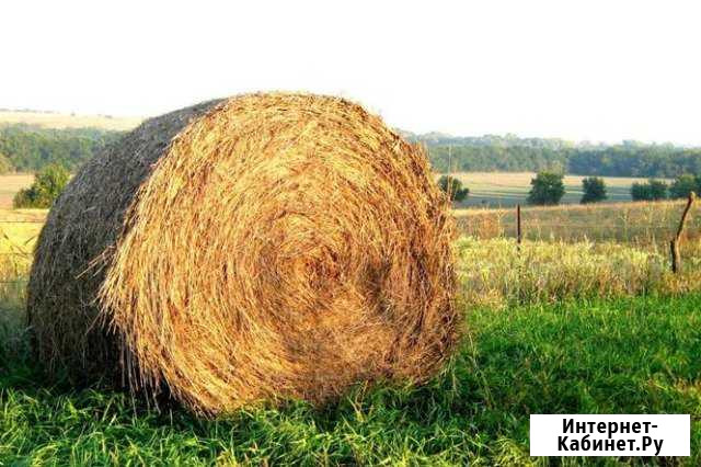 Сено Кушнаренково - изображение 1