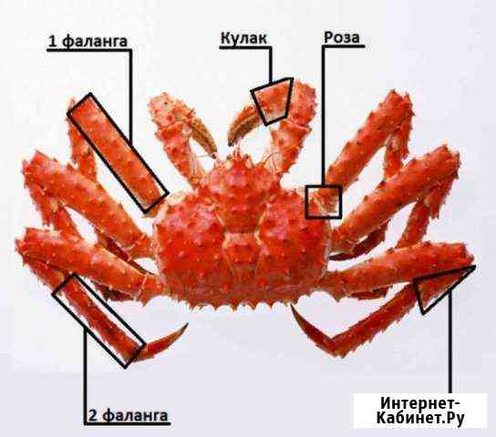 Краб Камчатский Стригун Рыба копчёная соленая Петропавловск-Камчатский