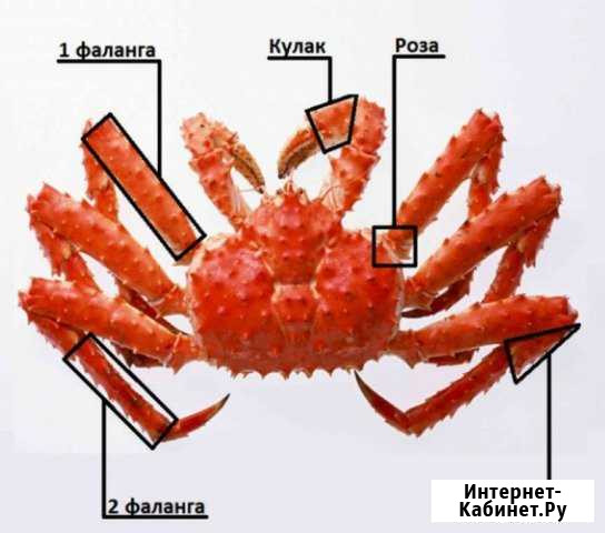 Краб Камчатский Стригун Рыба копчёная соленая Петропавловск-Камчатский - изображение 1
