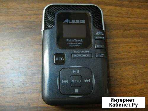 Рекодер аудио Alesis PalmTrack (как zoom и tascam) Красноярск - изображение 1