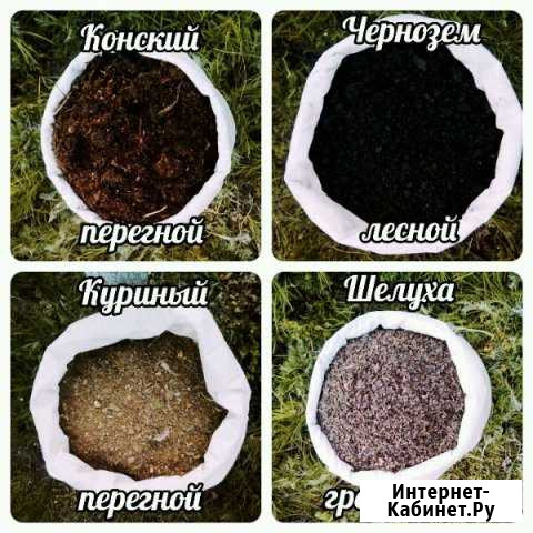 Навоз перегной бесплатно доставим Саратов - изображение 1