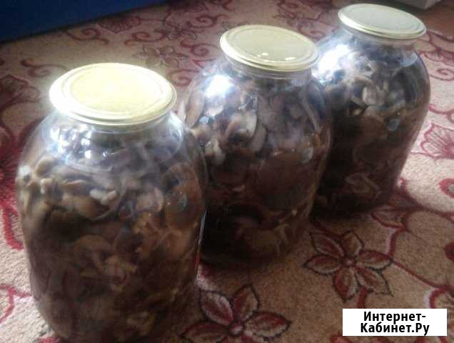 Грибы маринованные опята Шадринск - изображение 1
