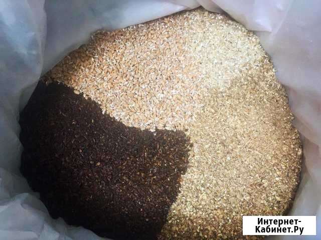 Солод,хмель,дезинфекция,пивные дрожжи,пивоварня Севастополь - изображение 1