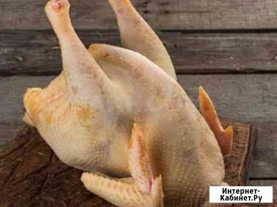 Домашняя птица, индоутки, цыплята мясом Троицк