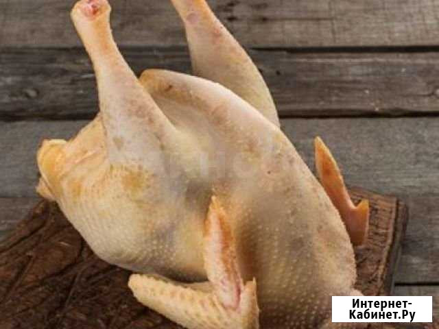 Домашняя птица, индоутки, цыплята мясом Троицк - изображение 1