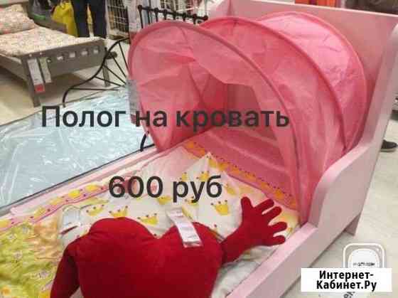 Полог Архангельск