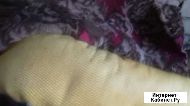 Продам палас и ковер б/у Калининград - изображение 1