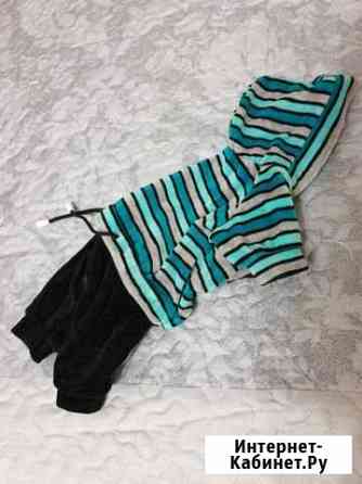 Комбинезон для собаки Мурино