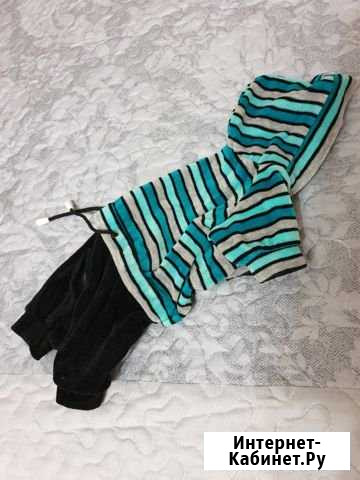 Комбинезон для собаки Мурино - изображение 1