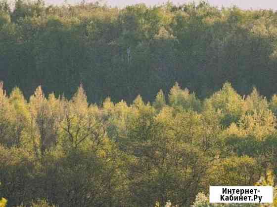 Участок 6 сот. (ИЖС) Михнево