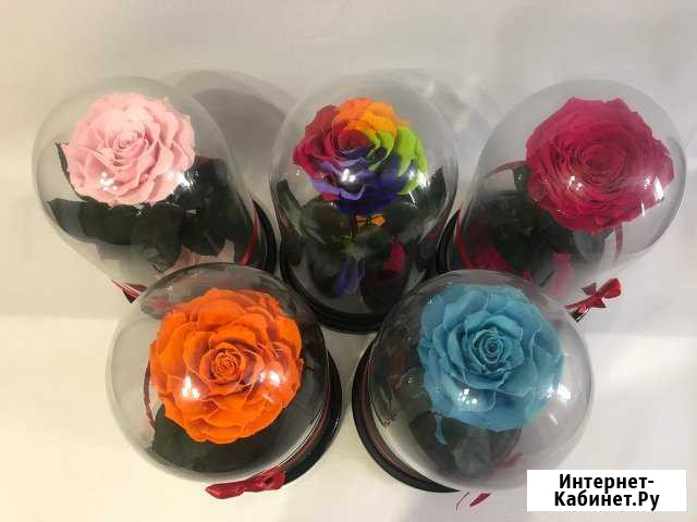 Роза стабилизированная Екатеринбург - изображение 1