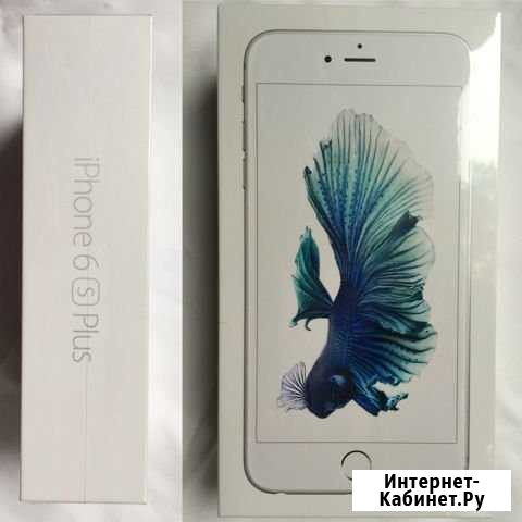 iPhone 6S Plus 16gb Silver (рассрочка trade in) Ковров - изображение 1