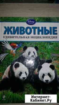 Энциклопедия Животные Киров