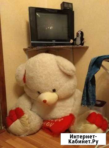 Плюшевые медведь Знаменск - изображение 1