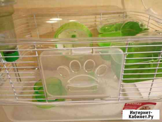 Клетка Нижний Новгород