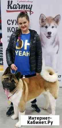 Вязка Курск