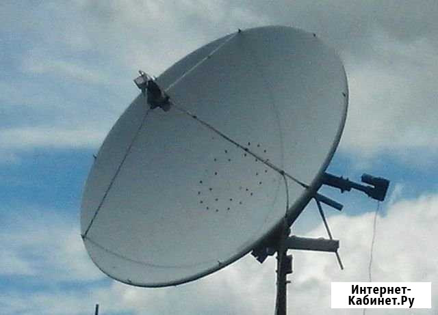 Спутниковая Телекарта обменяю на саженцы, цветы Барнаул - изображение 1