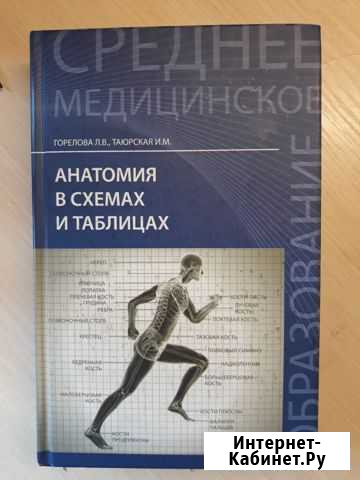 Горелова, Таюрская: Анатомия в схемах и таблицах Екатеринбург - изображение 1