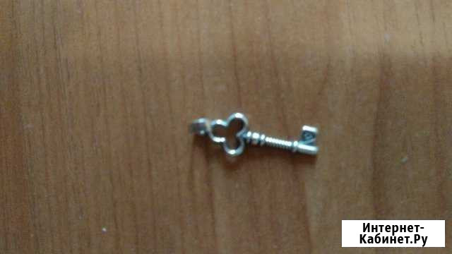 Серебро Петрозаводск - изображение 1