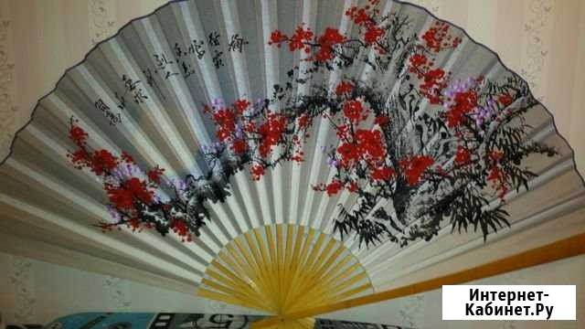 Веер Пенза - изображение 1