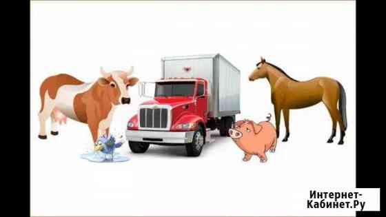 Перевезем животны коров баранов свиней Омск