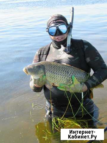 Рыбалка, подводная охота, Станья, Камызяк Астрахань - изображение 1