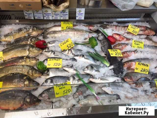 Готовый бизнес Магазин рыба Кокошкино - изображение 1
