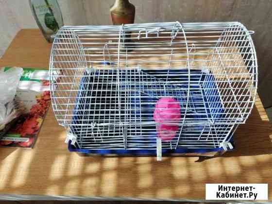 Клетка для хомяка Волгоград