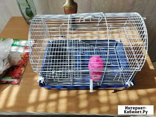Клетка для хомяка Волгоград - изображение 1