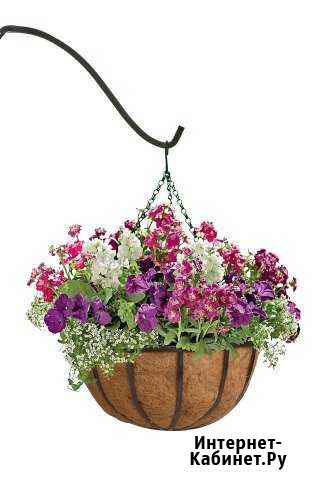 Кашпо подвесные Омск - изображение 1