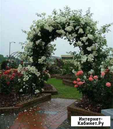 Арки садовые Омск