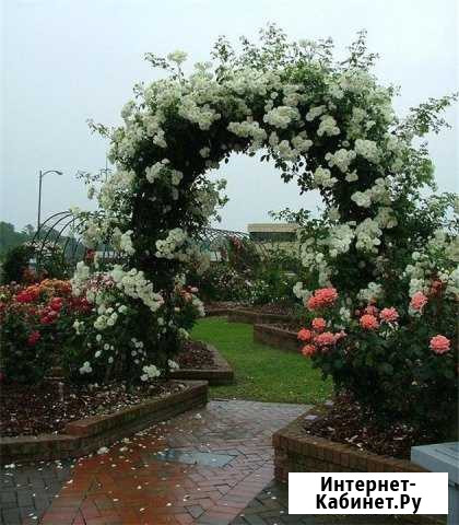 Арки садовые Омск - изображение 1