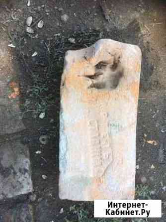 Кирпич Ортель Сталина редкий экземпляр с лапой Краснодар