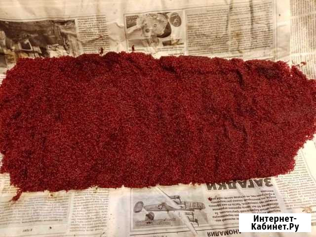 Живой корм для рыб Наро-Фоминск - изображение 1