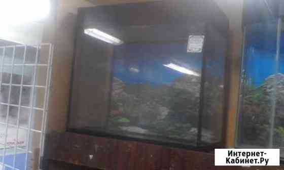Продаются аквариумы Нижний Новгород