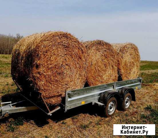 Солома для мульчи, для животных Заокский - изображение 1