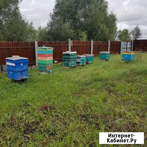 Мёд Октябрьский - изображение 1
