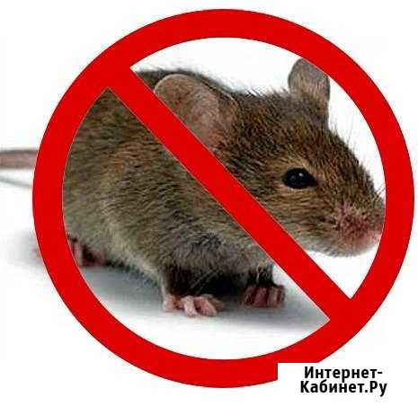 Отрава для мышей и крыс Омск - изображение 1