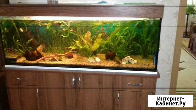 Аквариумы300л и 120л Таганрог - изображение 1