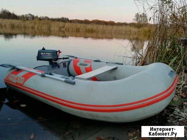 Лодка моторная Dingo 27F + мотор Sea pro 2.6 Лиски - изображение 1