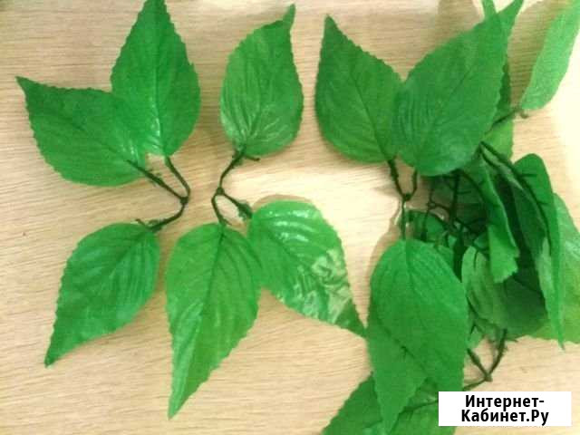 Искусственные листья Ульяновск - изображение 1